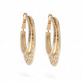 Hoops Gold Plated Earrings Simple Luxury Style Jewelry